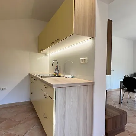 Spatial Center With Parking * Portorož